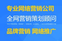 智帮达网络营销浅谈：网络营销推广