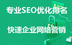 专业SEO优化公司浅谈：企业seo优化关键词排名