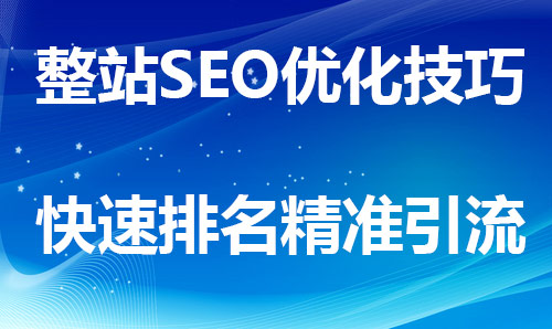 专业SEO优化公司