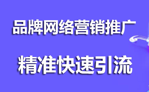 专业品牌网络营销推广