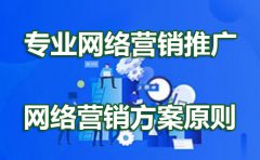 专业网络推广服务公司浅谈：网络营销策划五大原则是什么？