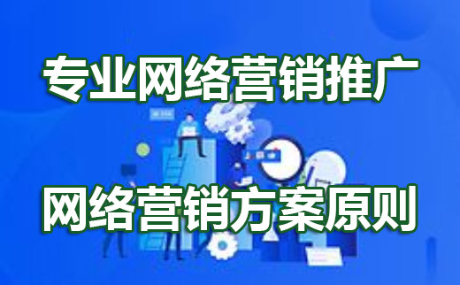 专业网络营销方案