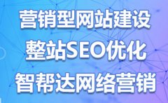 专业SEO营销浅谈，网站SEO优化排名的基本功