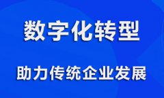 什么是数字化？实体数字化营销