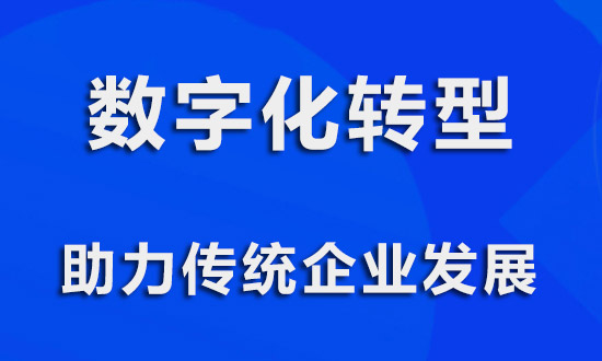 重庆数字化服务中心